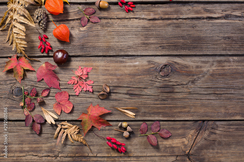 autumn leaves on darrk old wooden background photo