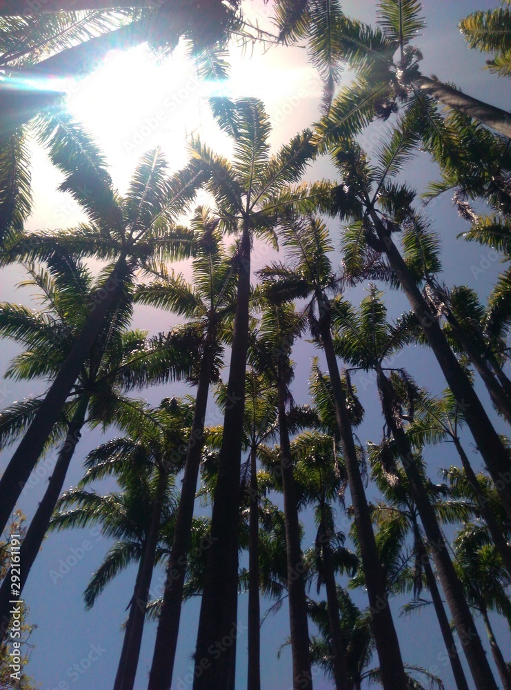 Naklejka premium The sky of your eyes