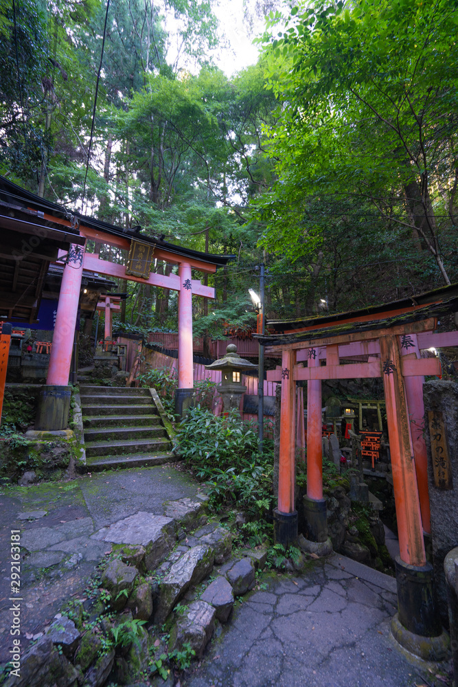 Kyoto Travel : Landscape of Fushimi-Inari Taisha Kyoto Travel : Landscape of Fushimi-Inari Taisha