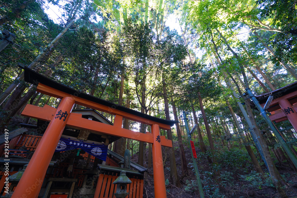 Kyoto Travel : Landscape of Fushimi-Inari Taisha Kyoto Travel : Landscape of Fushimi-Inari Taisha