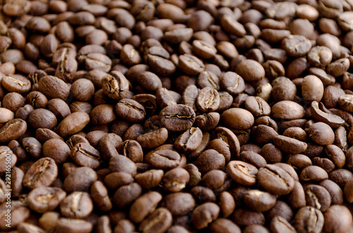 Arabica coffee bean close up , light roasted.