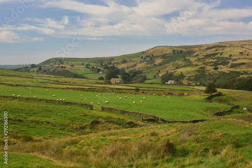 Sheep farming in the Southwestern Peak District