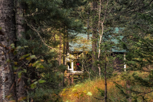 Black log cabin in a wooded setting during the autumn season
