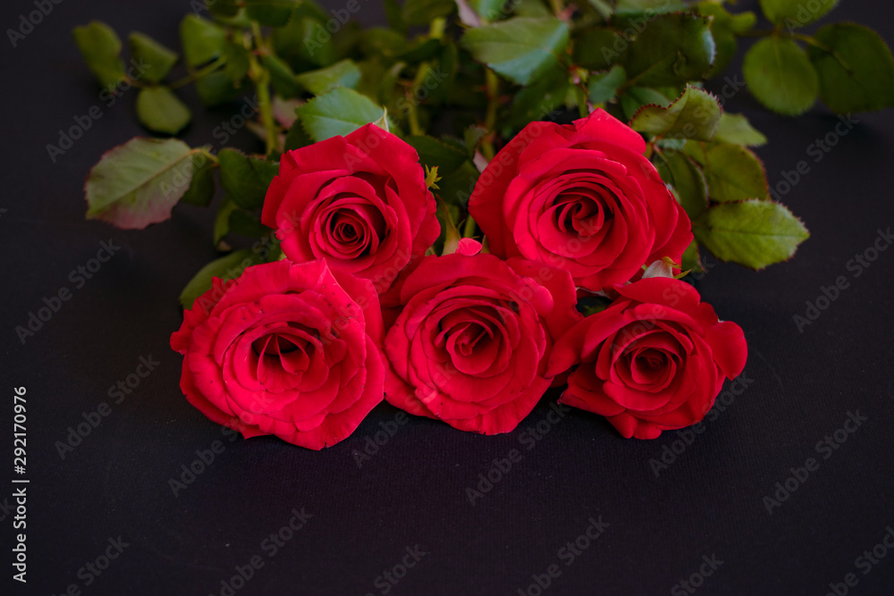 custom made wallpaper toronto digitalBig bouquet of red roses. Event design style. Romantic atmospheric photo of flowers