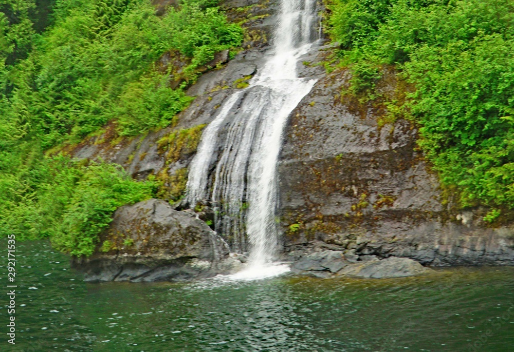Obraz premium waterfall in forest
