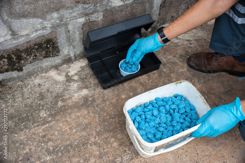 Get rid of rat using  bait poison box, pest control in industry.