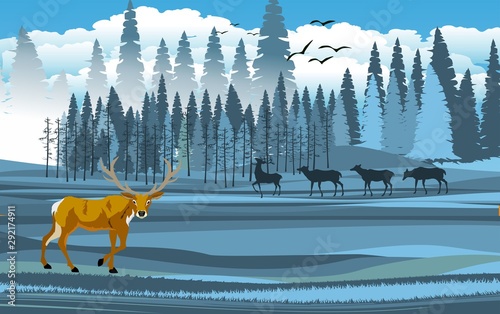 landscapes of wildlife in winter. Deer in wildlife scene, with field, grass, forests, vector