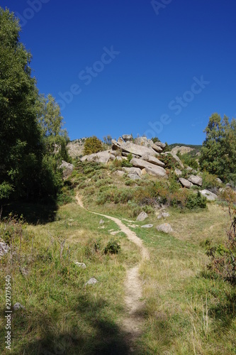 sentier ou chemin de montagne à travers les prés verts