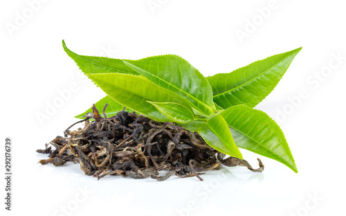 fresh green tea leaf and dry isolated on white background