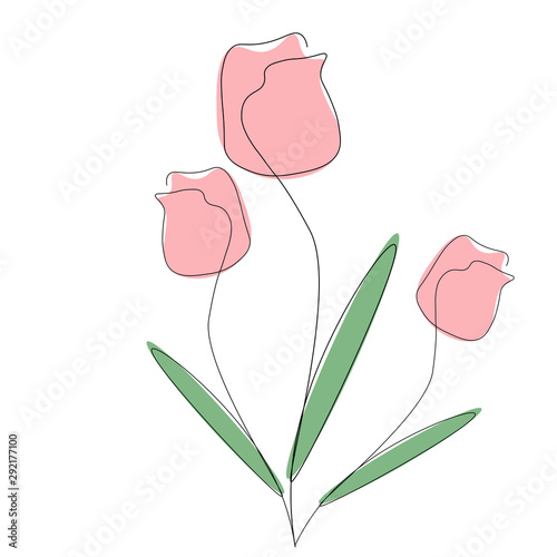 Rose flowers isolated on white background, vector illustration