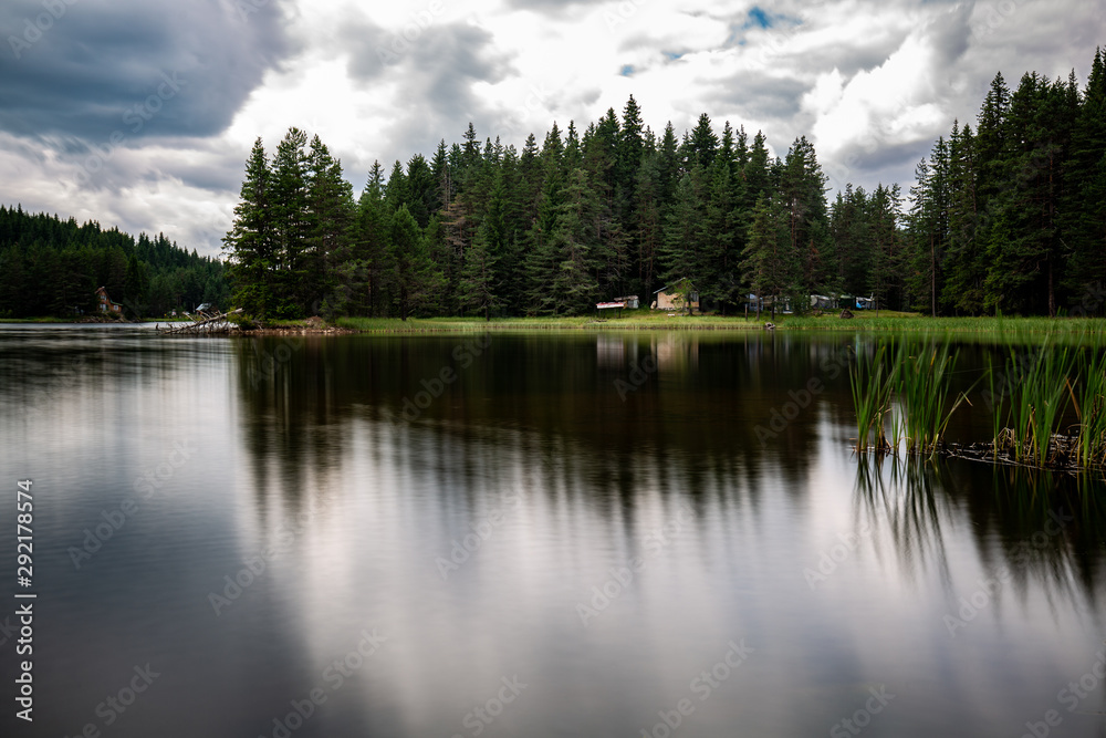 lake in forest lake in forest