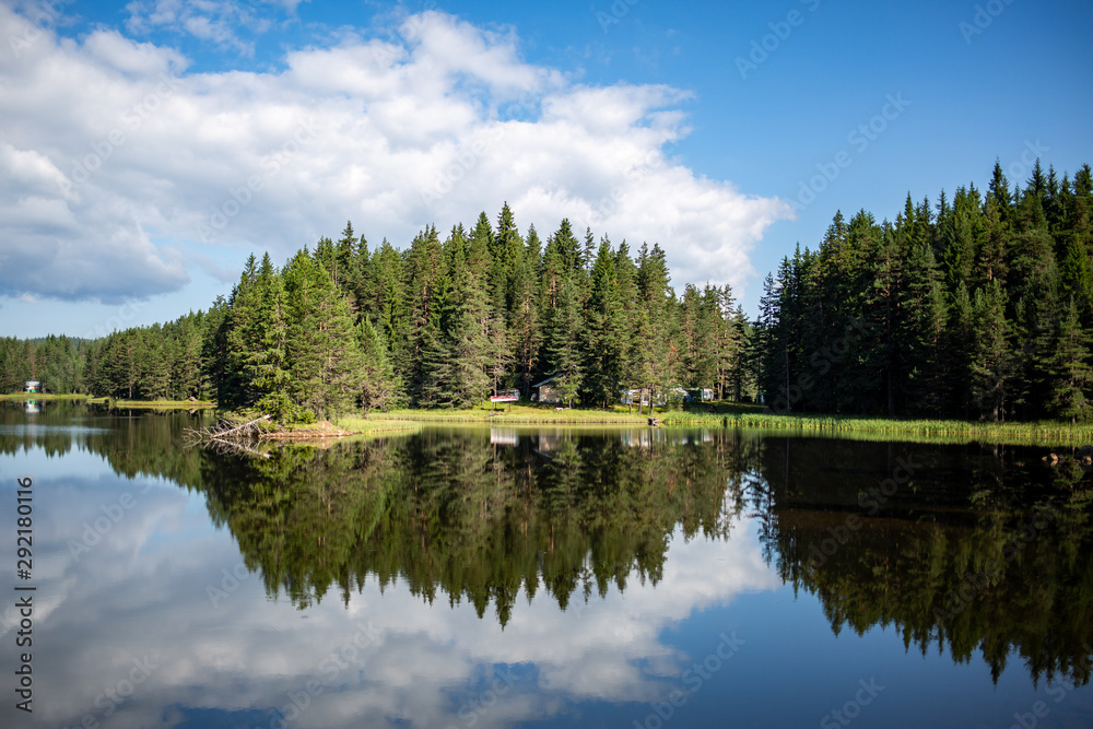 Obraz premium landscape with trees and lake