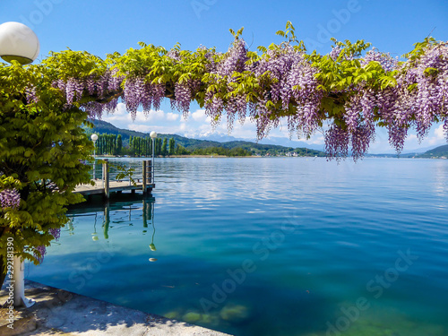 Flower decorations at Wörtersee, Pörtschach, Austria. Beautiful lake landscape, surrounded by Alps. This lake is natural drinking water tank. Pink roses hanging fro the top, blurry background. photo