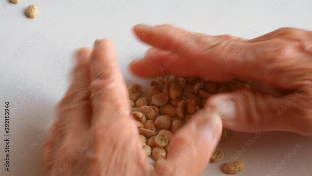 Hand of woman selecting green raw coffee beans being sorted out after drying Hand of woman selecting green raw coffee beans being sorted out after drying