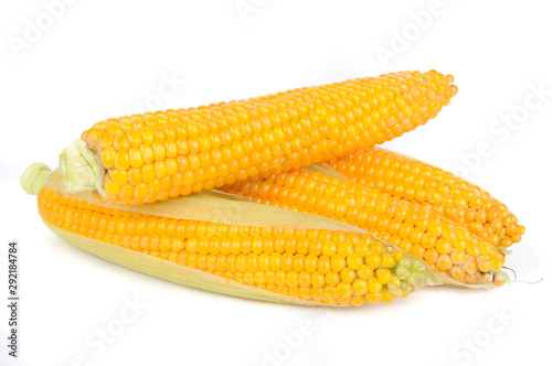 Corn on the Cobs Isolated on White Background