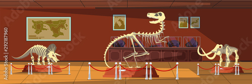 Extinct animals bones vector illustrations set