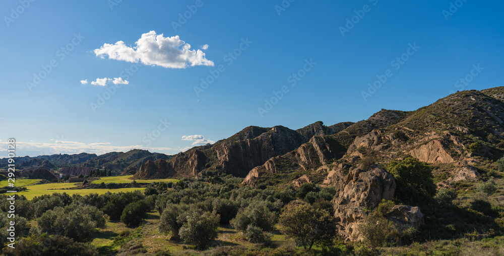 Paisaje mediterráneo de olivos con montañas de fondo