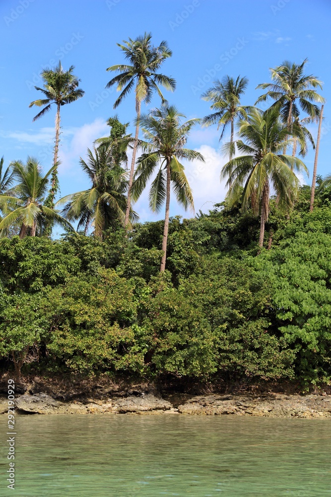 Natural landscape in Palawan island, Philippines. Snake Island.