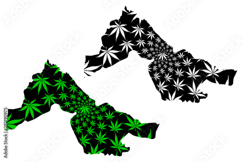 Kwara State (Subdivisions of Nigeria, Federated state of Nigeria) map is designed cannabis leaf green and black, Kwara map made of marijuana (marihuana,THC) foliage.... photo
