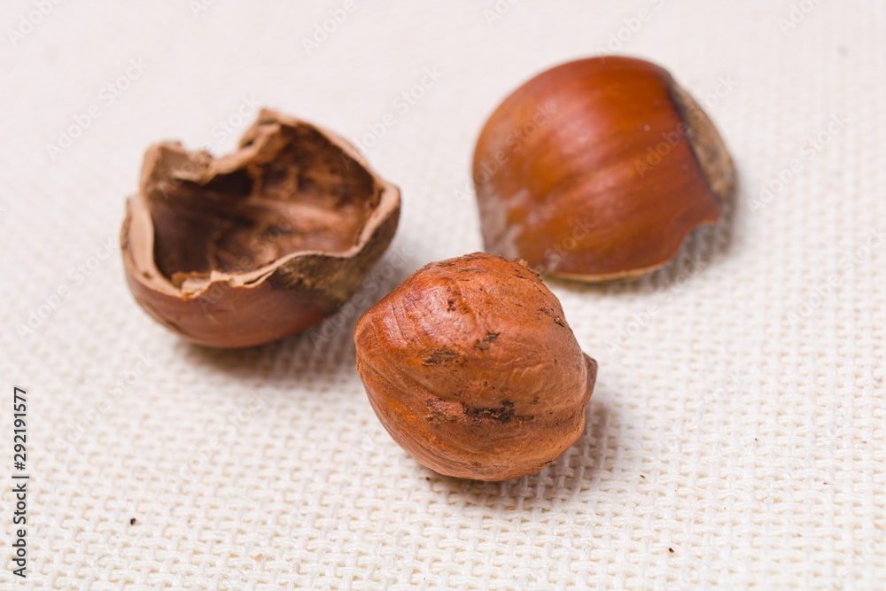 macro cracked hazelnut on rough light tablecloth. macro cracked hazelnut on rough light tablecloth.