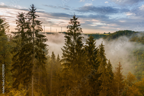 fog over the forest at Mosel  Germany