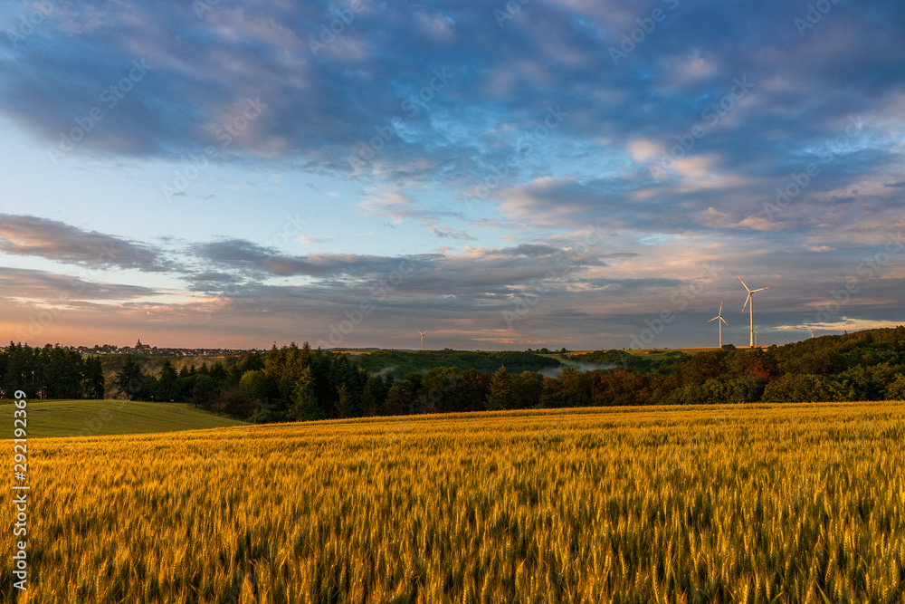 sunset over wheat field, Moselle Germany.