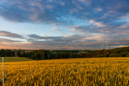 sunset over wheat field, Moselle Germany.