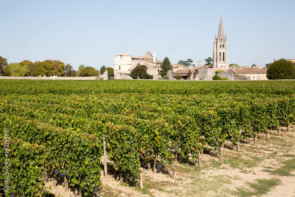 Vineyards at Saint Emilion village  in Bordeaux wine France