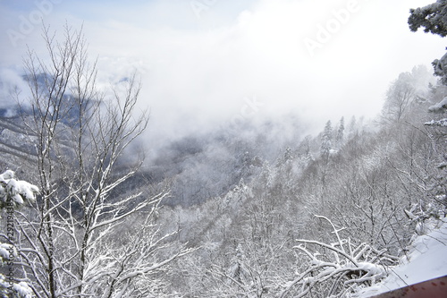 Snowy Winter In The Mountains