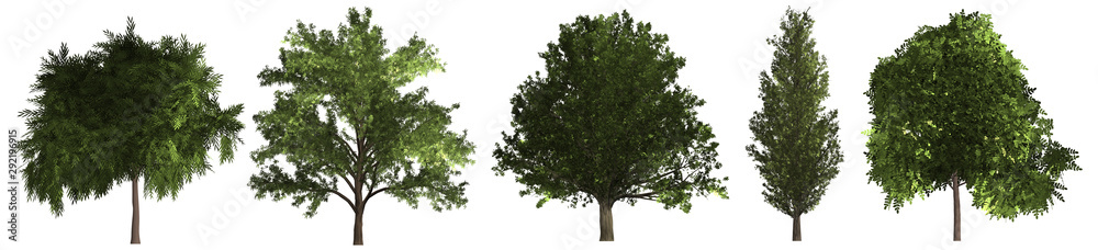 Set of different green trees