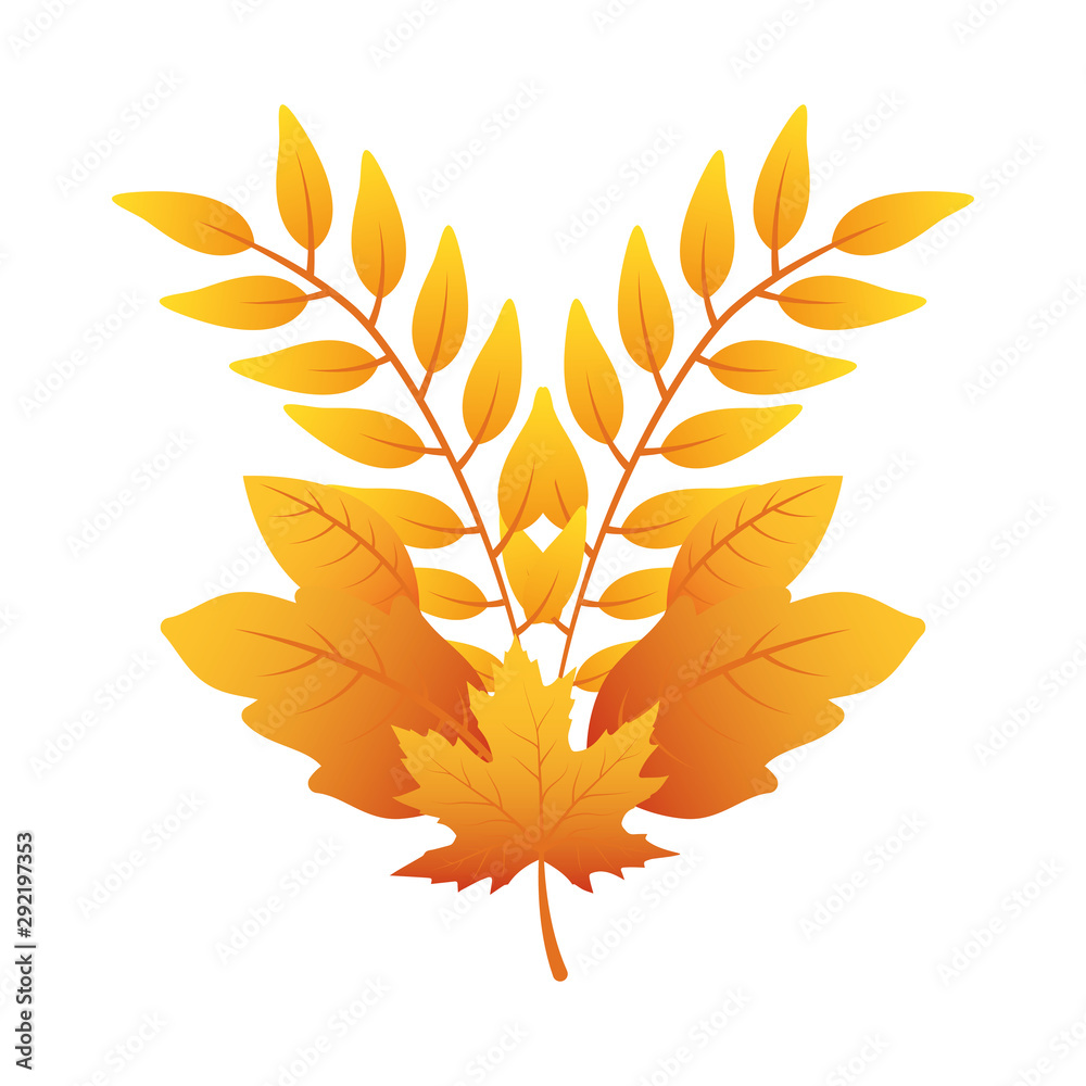 Fototapeta premium autumn branch with leafs decorative crown