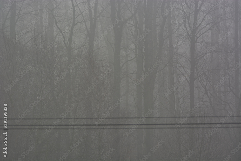 Obraz premium fog and light