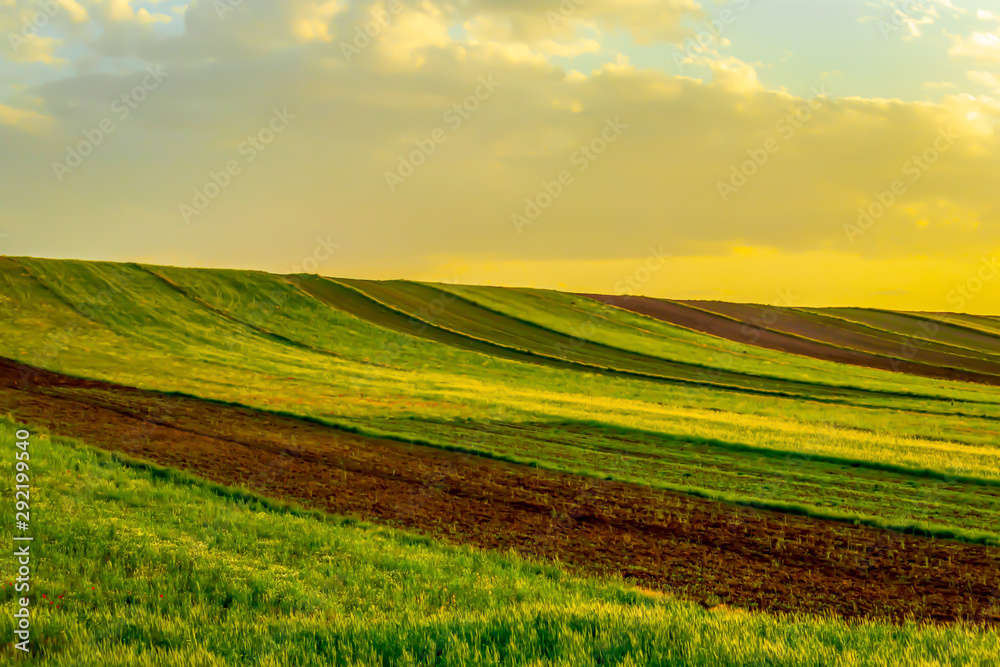 green field with blue sky and sunset