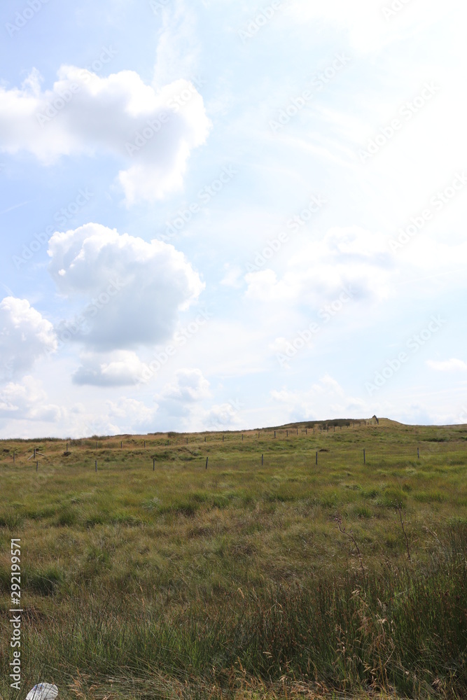 green field and blue sky