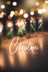 Close-up, Elegant Christmas tree in glass jar decoration. Merry Christmas and happy new year concept.