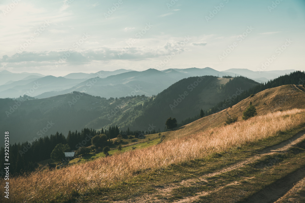 Summer evening in carpathian mountains with a trail in the foreground