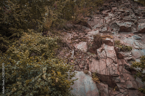 The brown rock in the yellow forest