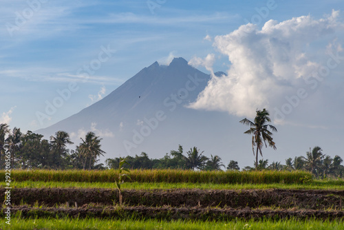 Mount Merapi, Gunung Merapi, a volcano on Java, Indonesia, illuminated by warm evening light after a heavy rain shower. Some rice fields and palm trees with a last cloud of fog infant of a blue sky.