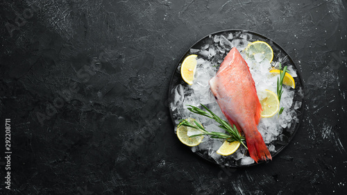 Schilderij op canvas Seafood raw snapper on ice. Top view. Free space for your text.