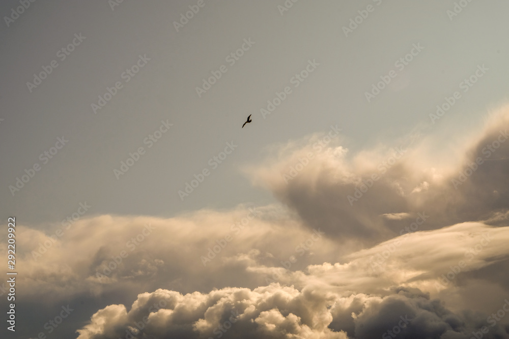 The sun and clouds on the blue sky. Cloudy weather with cumulus, dark clouds. Autumn day. A strong wind blows, the pressure is low, the threshold of rain.