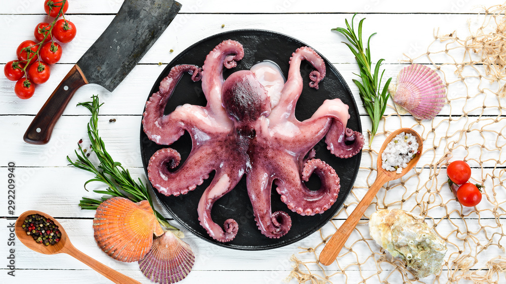 Octopus with spices on a white wooden table. Seafood. Free space for your text. flat lay