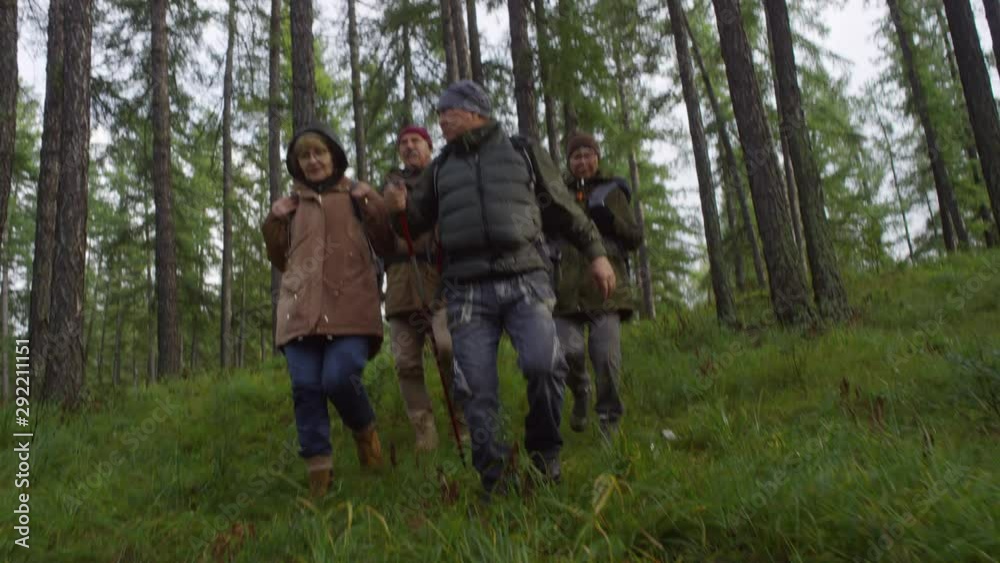 Low angle shot of senior hikers walking down the hill through forest and discussing beautiful nature around Low angle shot of senior hikers walking down the hill through forest and discussing beautiful nature around