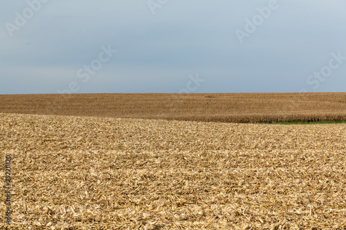 Plowed corn fields in rural Iowa at the end of the fall corn harvest.