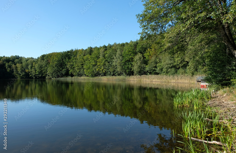 Shore area with reeds at a small lake in Wandlitz, Brandenburg -