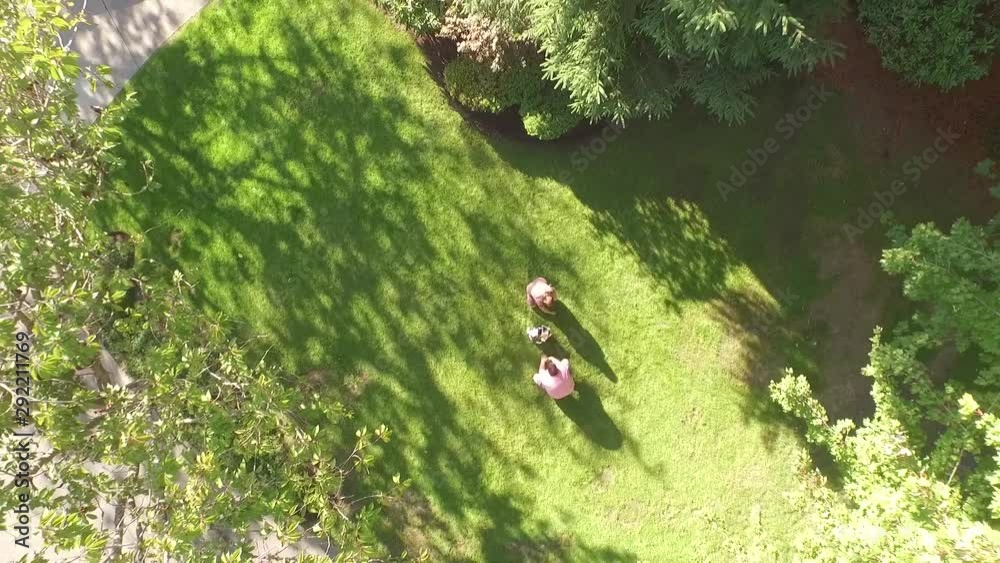 Rising Drone Shot of A Couple Playing in the Park with a Puppy Rising Drone Shot of A Couple Playing in the Park with a Puppy
