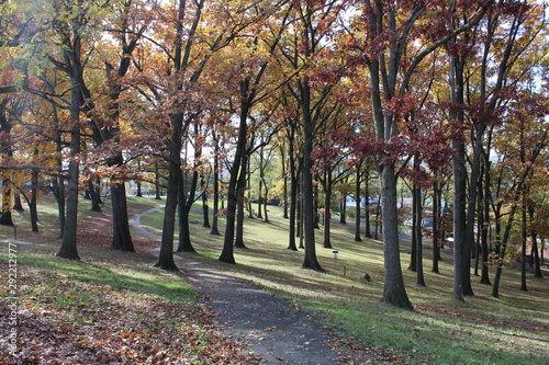 Cement pathway through a wooded park with leaves falling