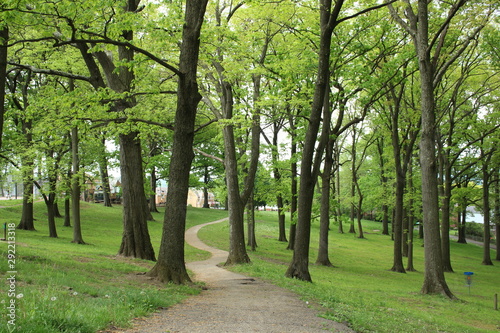 Cement pathway through a wooded park 