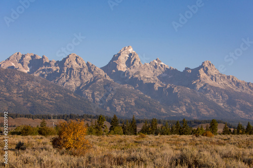 Grand Teton