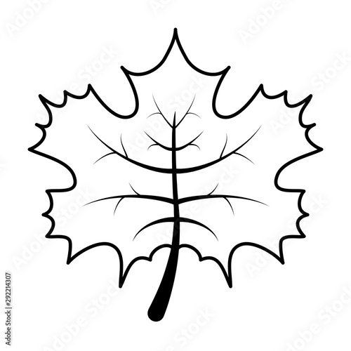autumn leaf foliage seasonal icon