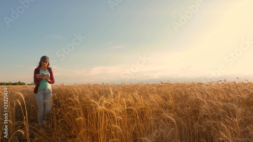 businesswoman with a tablet studies wheat crop in field. Farmer woman works with tablet in a wheat field, plans a grain crop. business woman in field of planning her income. agriculture concept. © zoteva87